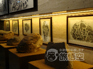 寧夏博物館 銀川