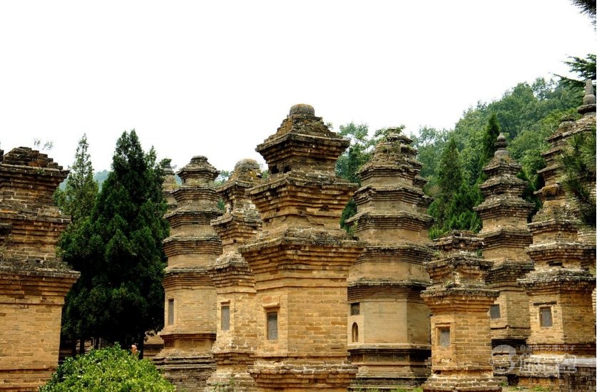 洛陽 観光 世界遺産 龍門石窟 少林寺 を巡る 旅行 ツアー