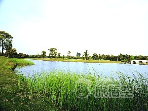 上海 美蘭湖 ゴルフクラブ